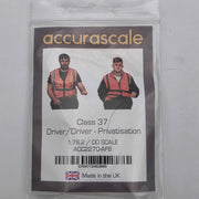 Equipaggio Classe 37 - Pilota/Conducente - Privatizzazione